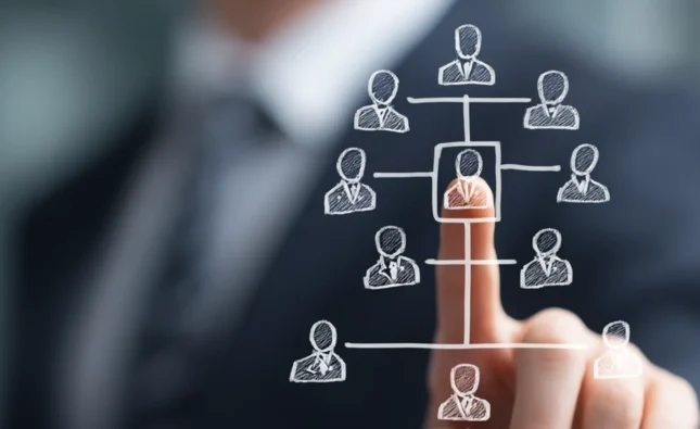 Online Distributor Strategies 2025: Betting Site Affiliate Trends