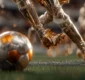 Olympic Football 2025 Live Betting Strategies and Insights